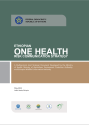 EthiopianOneHealthRiskCommunicationStrategy